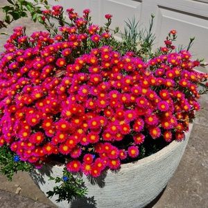 Meet your Posher, Seema